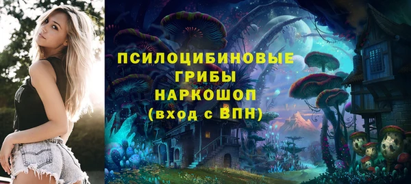 шишки Козельск
