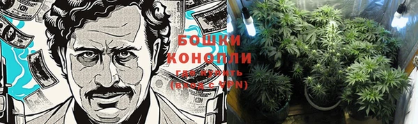 PSILOCYBIN Коряжма