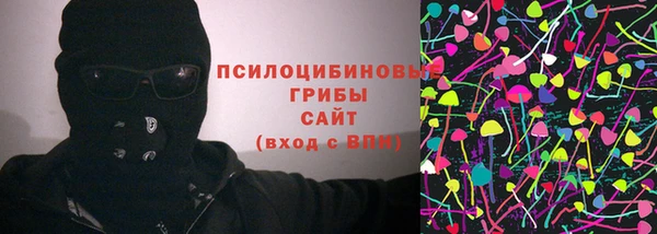 PSILOCYBIN Коряжма