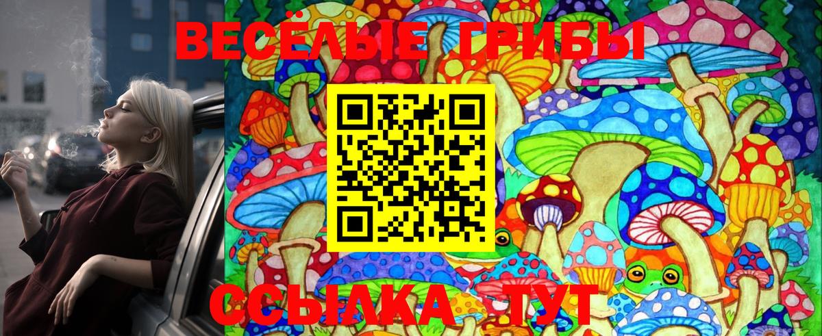 Псилоцибиновые грибы Psilocybe  Вход с VPN  Галлюциногенные грибы Psilocybe  Усть-Кут 