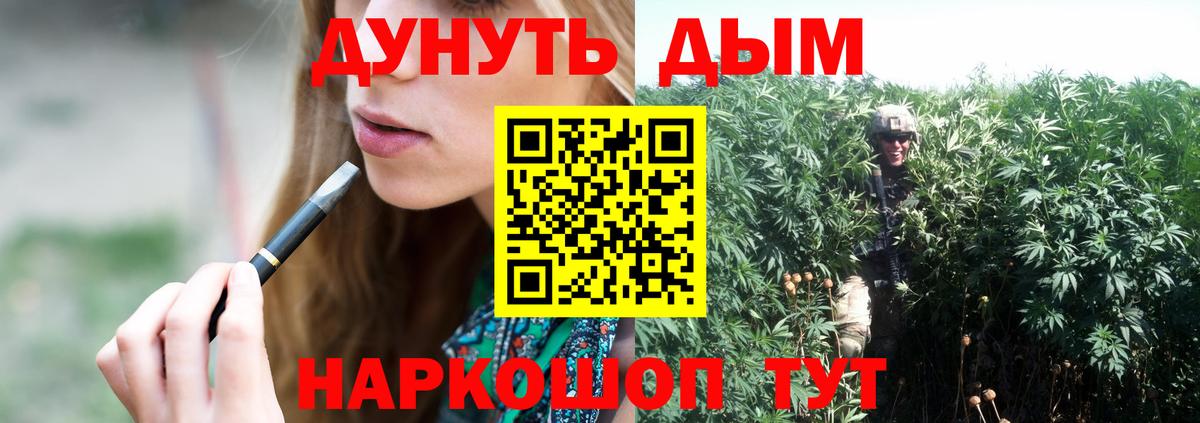 Бошки марихуана OG Kush  Марихуана план  Усть-Кут  Вход с VPN  Марихуана марихуана  Бошки марихуана Amnesia 
